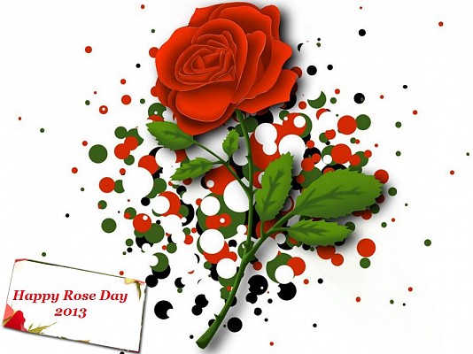 Happy Rose Day 2013