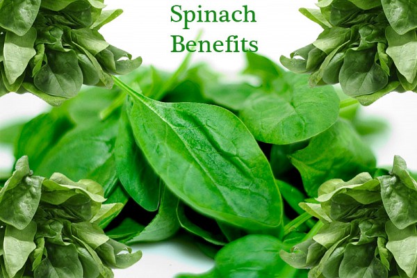 spinach benefits