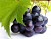 Black Grapes