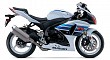 suzuki gsx r1000z Pearl Glacier White