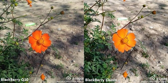 Blackberry Classic Camera sample Image